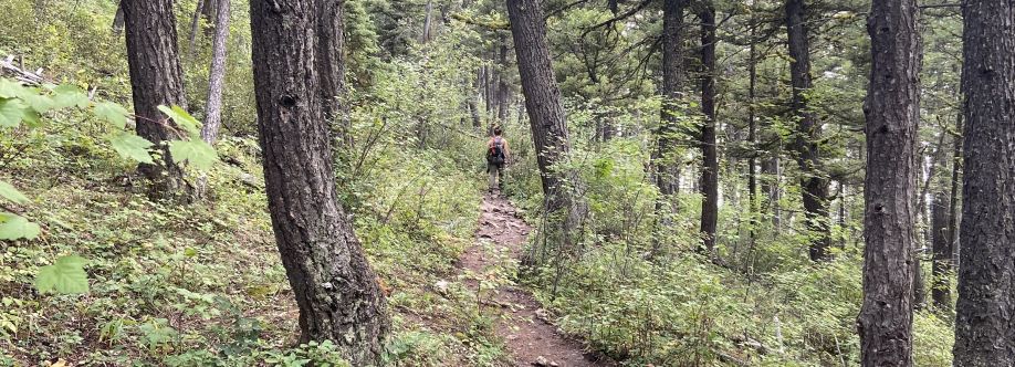 James Gross Cover Image